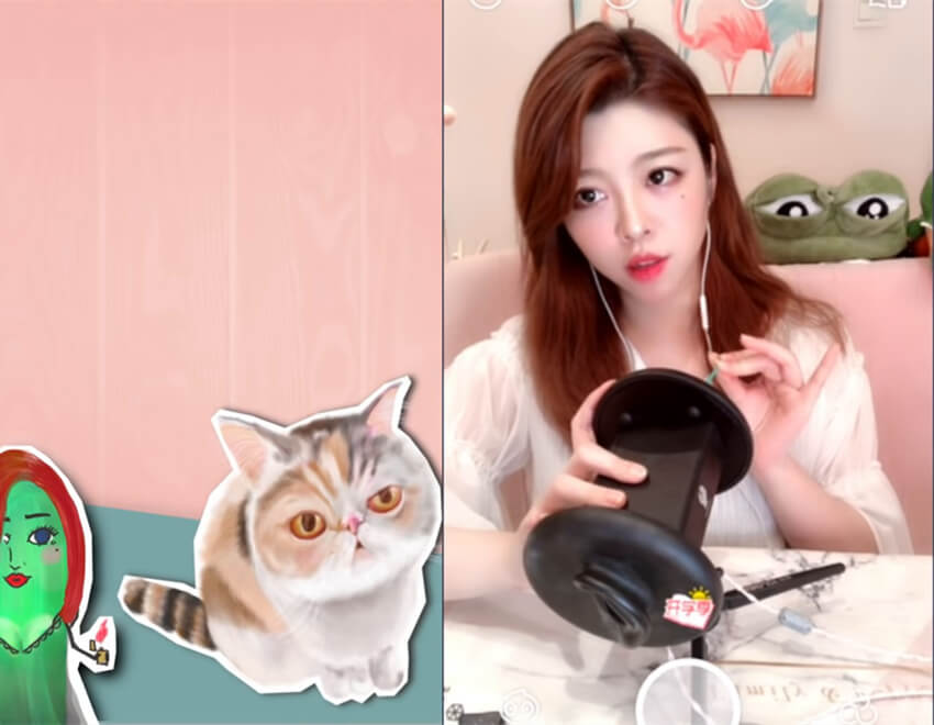 小黄瓜zyra ASMR 二倍速轰炸机，直击大脑皮层导致昏厥的入眠法，你值得拥有