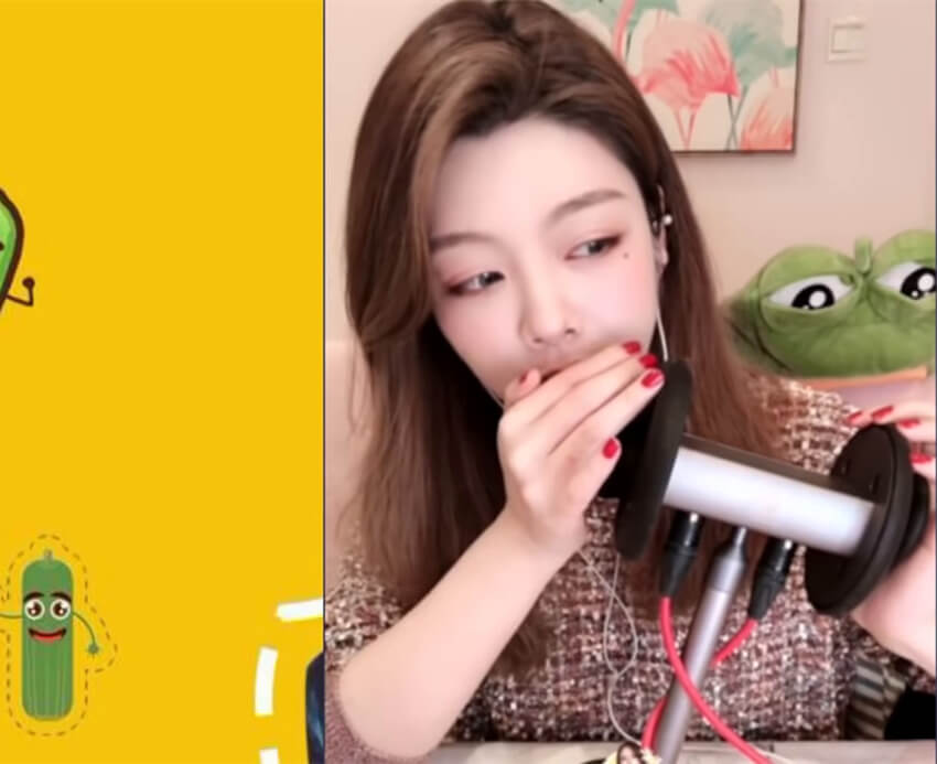 吃不饱的小黄瓜ASMR催眠 睡不着你找我，一棍子包你入睡