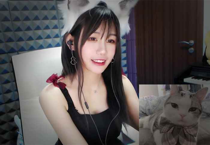 喵老师给你耳朵轻轻触发助眠