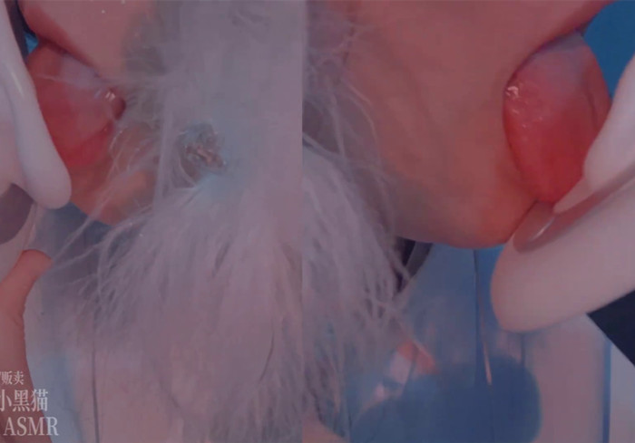1107.双耳天鹅 MIAOW ASMR 阿郁的小黑猫